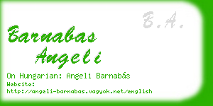 barnabas angeli business card